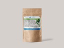 Alcachofa - Planta se Salud 2