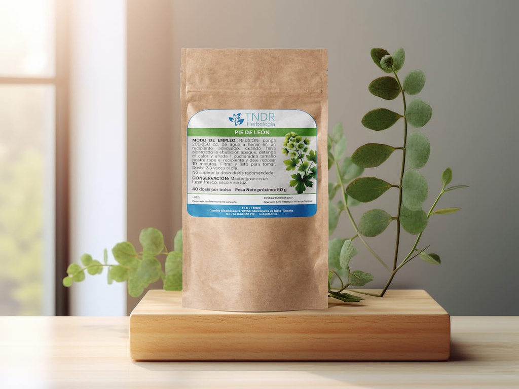 Pie de León - Planta de Salud TNDR 3