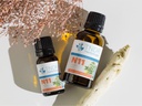 N11 P-R/Fn-CUT
